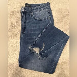 Judy Blue Skinny Distressed Blue Jeans
